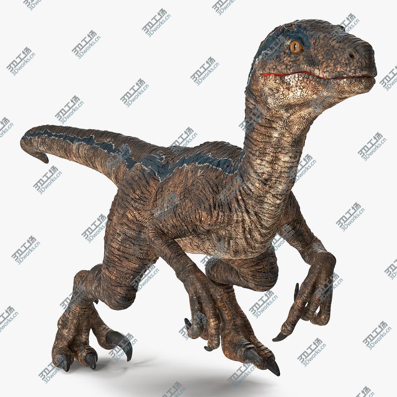 images/goods_img/2021040161/3D Velociraptor Walking Pose 3D Model/1.jpg